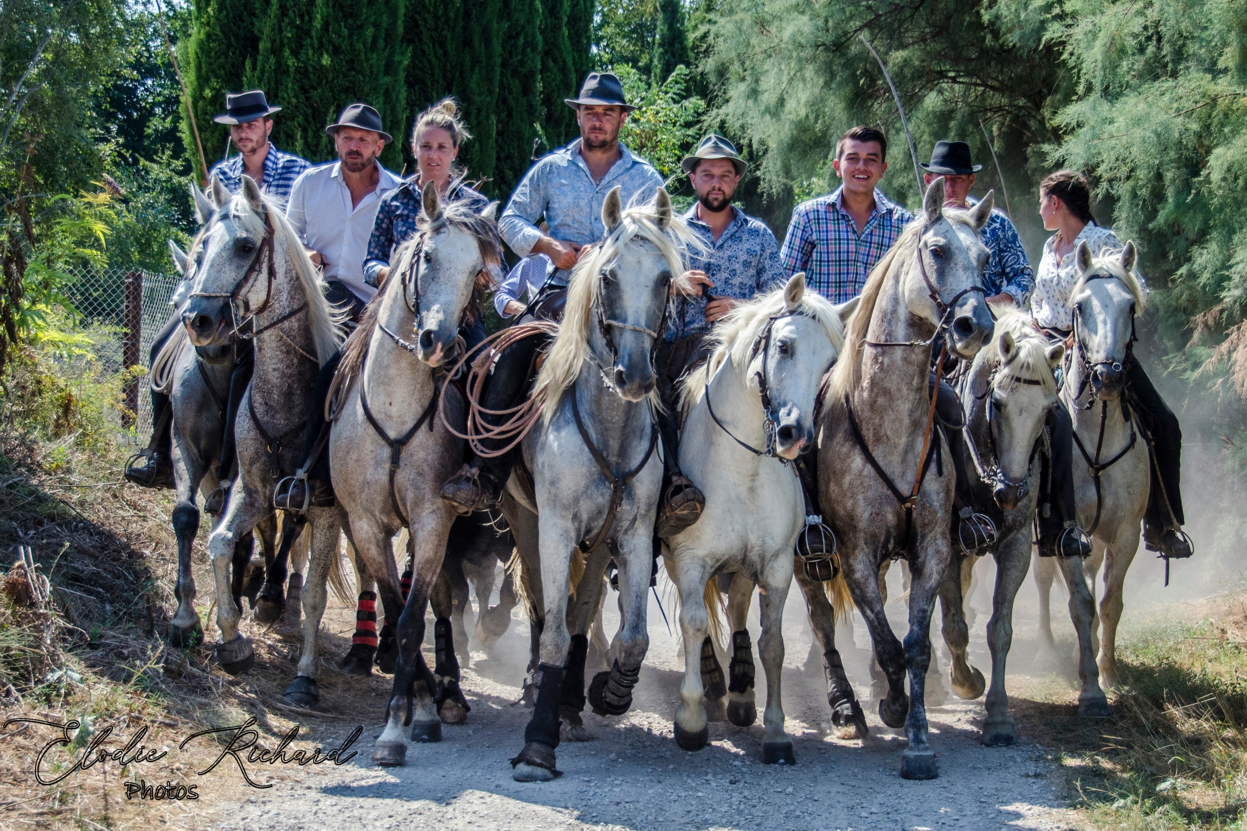 gardians cheval taureaux camargue abrivado tradition
